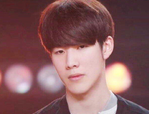 野与脚步 野与脚步