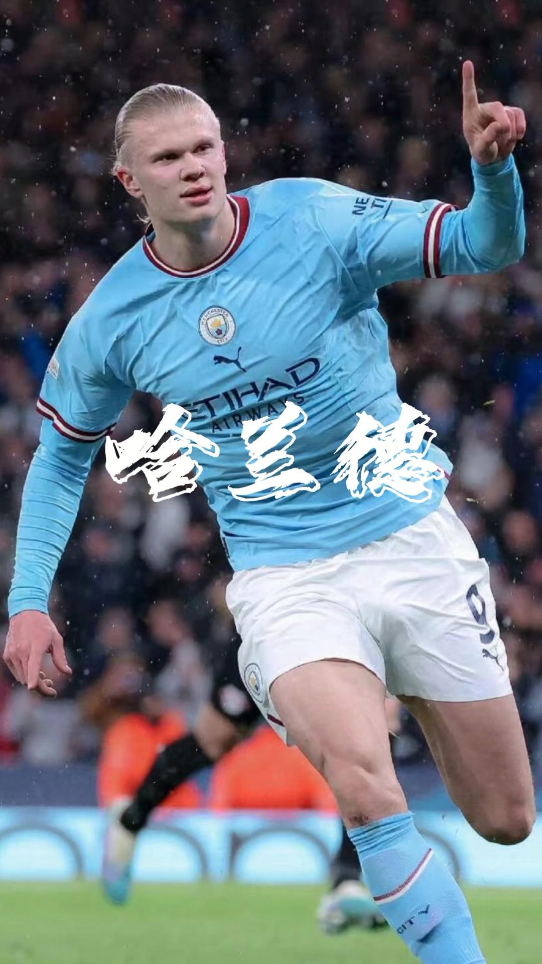 短期反向波 短期反向波