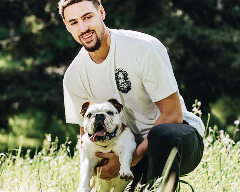 三者平衡的 三者平衡的